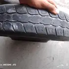 جنوط اسبير وكله