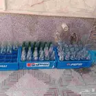 للبيع اغراش تعبأه