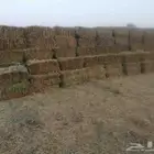 علاف لبن بنوبنك جديد شد 75 - 80 وزن 18- 20