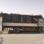 سعف نخل جديد أخضر للعرايش والمظلات