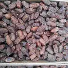 ابو مشاري لاي طلب