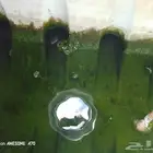تنظيف شامل