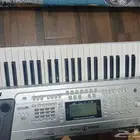 اورق يون استار شرقي غربي للبيع