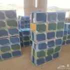نحل مصري معالج