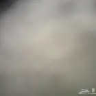 مطلوب دور او دورين في الشرايع