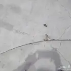 ذراع مساحات
