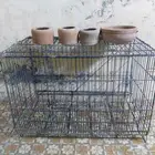 قفص طيور مع ثلاثه شرابات مياه فخار واثنين صحون فخار