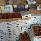 عندنا تمر صقعي رطب