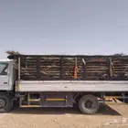 سعف نخل أخضر جديد للعرايش والمظلات والمظلات