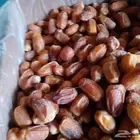 عندنا تمر صقعي وخلاص وخضري وسلج مزرعة الخرج