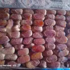 سلام عليكم اليوم عندنا اتمر صقعي حب طيب