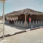 تركيب عريش جميع المواصفات