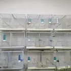 أقفاص كناري