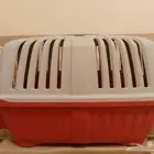 شبك قطط