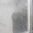 قزاز شمعه جهت يمين أصلي كامري موديل 2002