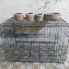 شبك طيور مع ثلاث شرابات مياه فخار وصحين عالسوم