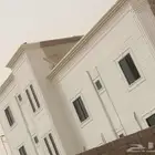 بديل الحجر تغنيك عن الياسه العاديه ولبويا وغيرها