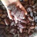 خضري جامبو 8طن