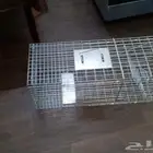 مصيده طيور وحيوانات