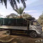 سعف نخيل أخضر جديد طيب للعرايش والمظلات