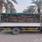 سعف نخل جديد أخضر للعرايش والمظلات