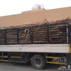 سعف نخل جديد أخضر للعرايش والمظلات