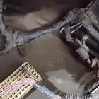 قطع غيار ماليبو علبة فيوز وظفيره وطرمبة بنزين