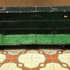 قفص كبير للحيوانات قطط او غيرها