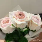 ورود جوري