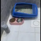 اغراض قطط للبيع