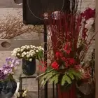تاجير سماعات ياماها ومونتاربو و RCF