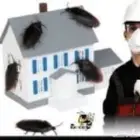 ابحث عن عمل مهندس مكافحه حشرات صحه عامه خبره 6 سنوات
