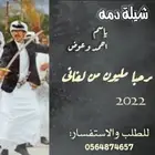 تنفيذ الشيلات باسم والحن لي تبي