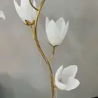 اضات فراش واضات ورده باشكال جميله