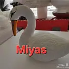 رسم نحت فلين