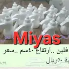 تمور ..دلة فلين للبيع
