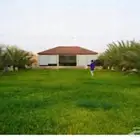 اللي عنده مزرعة ومو متفرغ انا اشتغل بالشراكة