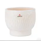 اغراض محل ورد بضايع تجهيز محل