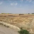 للبيع ارض سكنية في القصيم في عقلة الصقور