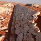 من له رغبه