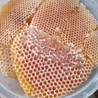ثوم ذكر يمني عسل سدر عصيمي للوز البلدي خولاني زبيب