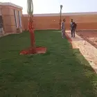 ثيل طبيعي سي 2000 فرنسي