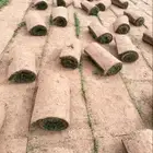ثيل سي الفين علي الشرط