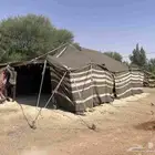 بيت شعر