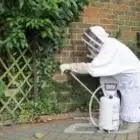 شركة مكافحة حشرات صراصير فئران بق النمل الابيض