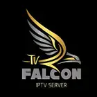 اشتراكات فالكون رخيصه