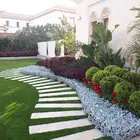 منيق حدائق منزليه( مهندس زراعي)