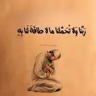 مطلوب سياره