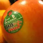 خطابان استكر بنر ختم فواتير سند صرف سند قبض لوحات فواحات كرت