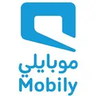 نت مفتوح